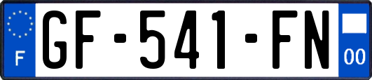 GF-541-FN