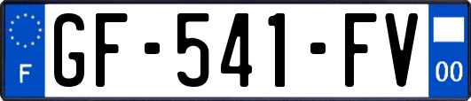GF-541-FV