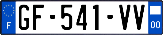 GF-541-VV