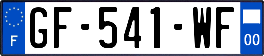GF-541-WF