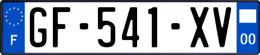GF-541-XV
