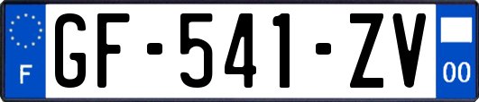 GF-541-ZV