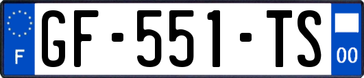 GF-551-TS