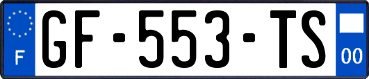 GF-553-TS