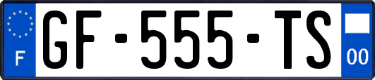 GF-555-TS