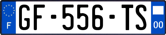 GF-556-TS