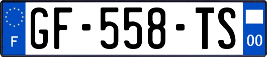 GF-558-TS