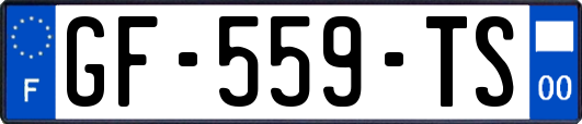GF-559-TS