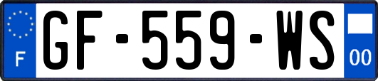 GF-559-WS