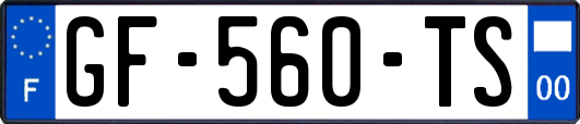 GF-560-TS