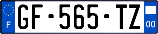 GF-565-TZ