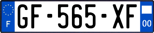 GF-565-XF