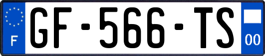 GF-566-TS