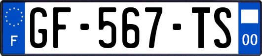 GF-567-TS