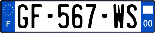 GF-567-WS
