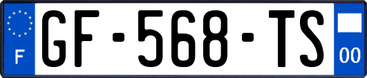 GF-568-TS