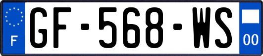 GF-568-WS