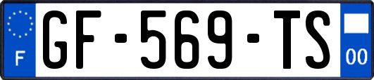 GF-569-TS
