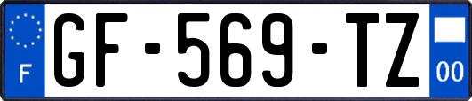 GF-569-TZ