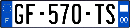 GF-570-TS