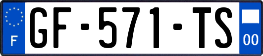 GF-571-TS