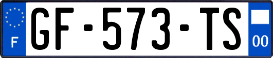 GF-573-TS