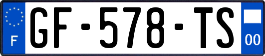 GF-578-TS