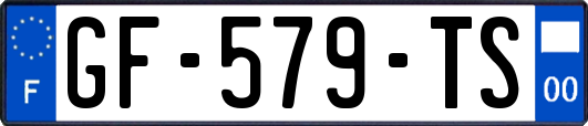 GF-579-TS