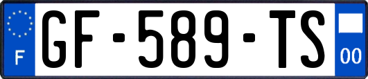 GF-589-TS