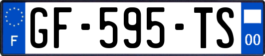 GF-595-TS