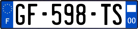 GF-598-TS