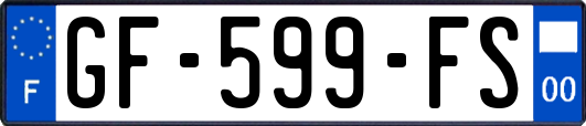 GF-599-FS
