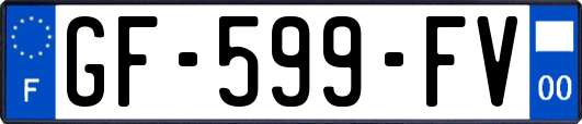 GF-599-FV