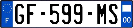 GF-599-MS