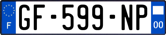 GF-599-NP