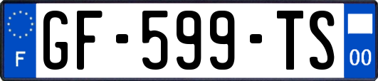 GF-599-TS