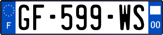 GF-599-WS
