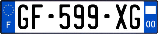 GF-599-XG