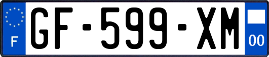 GF-599-XM
