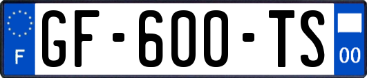 GF-600-TS