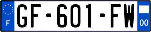 GF-601-FW