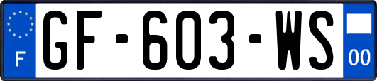 GF-603-WS