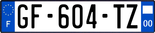 GF-604-TZ