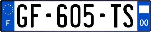 GF-605-TS