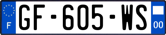 GF-605-WS