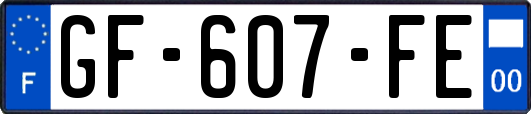 GF-607-FE
