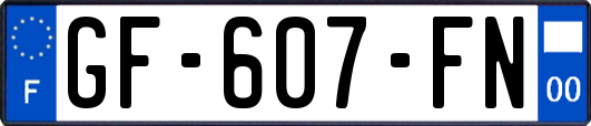 GF-607-FN