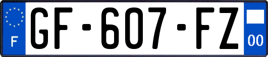 GF-607-FZ