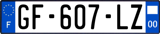 GF-607-LZ