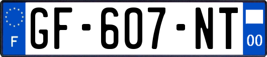 GF-607-NT